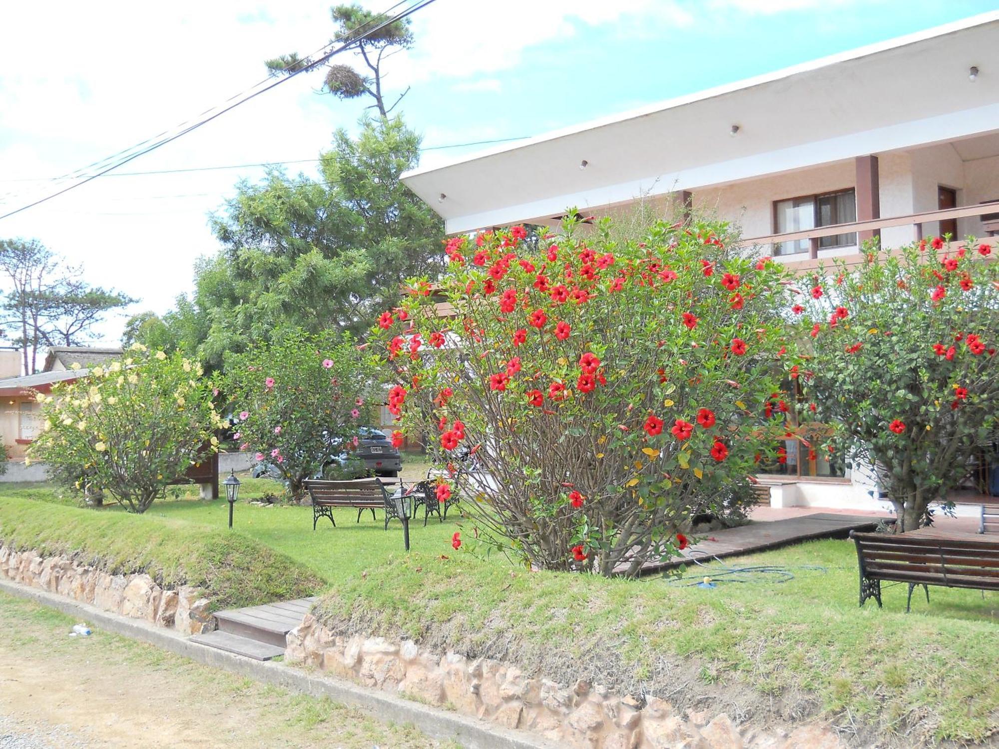 Hotel Yeruti La Paloma Εξωτερικό φωτογραφία